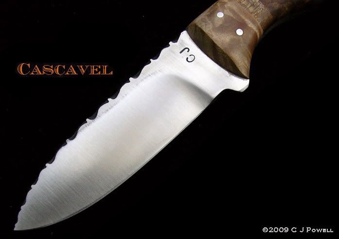 CascavelLeftBlade.jpg