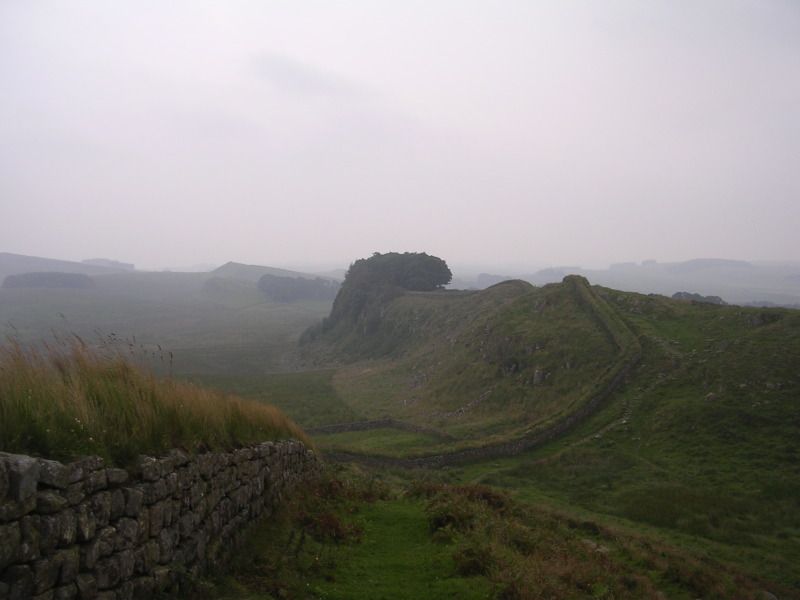 DSCN4462.jpg