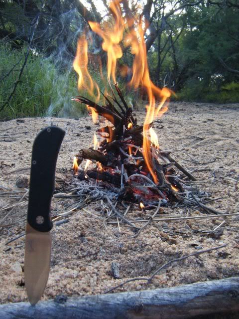 DSCF2089.jpg