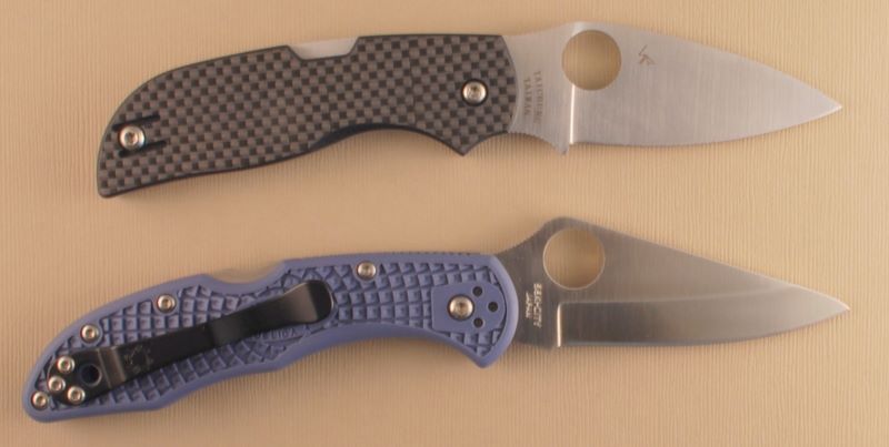 chaparral_delica_comp_1.jpg