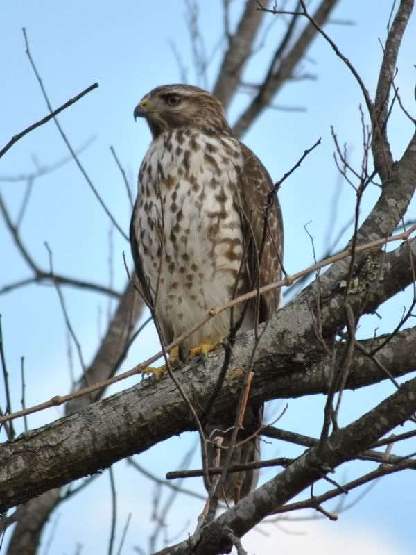 DSC_8379.jpg