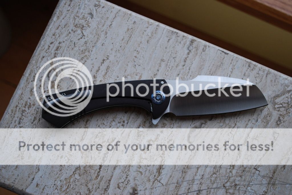 DSC_0131_zps5ryykdvj.jpg