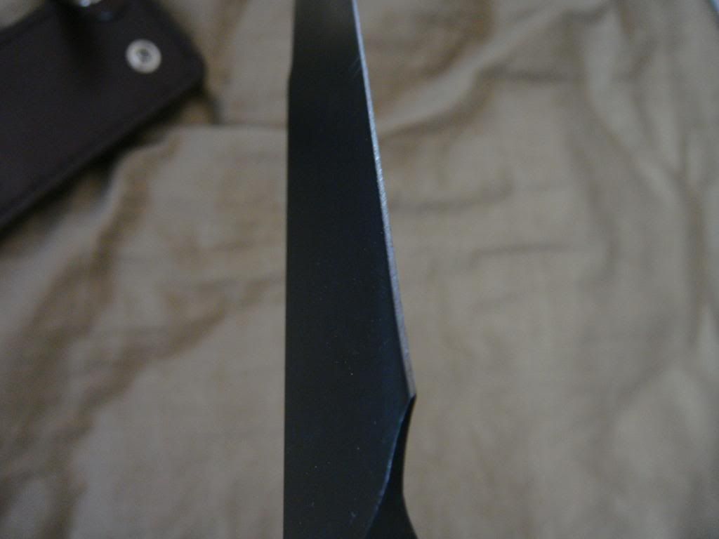 DSC06217.jpg