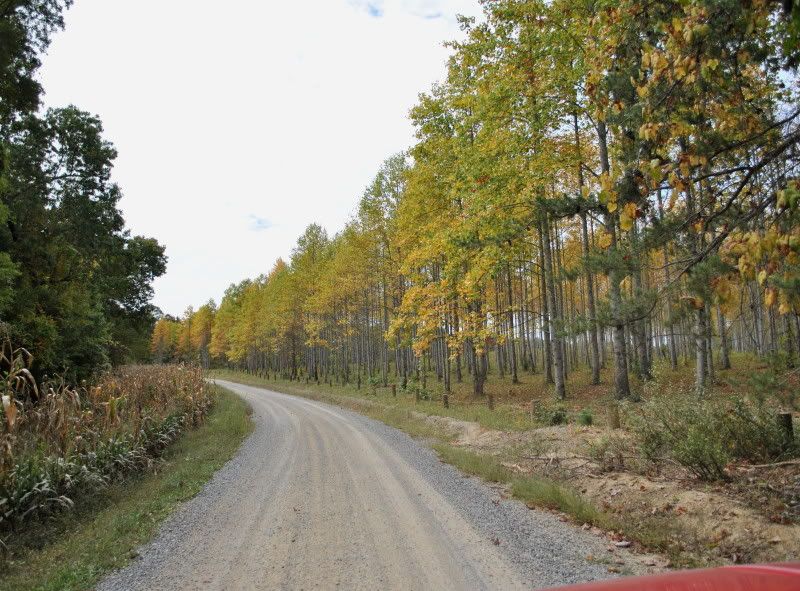 DSC_6317.jpg
