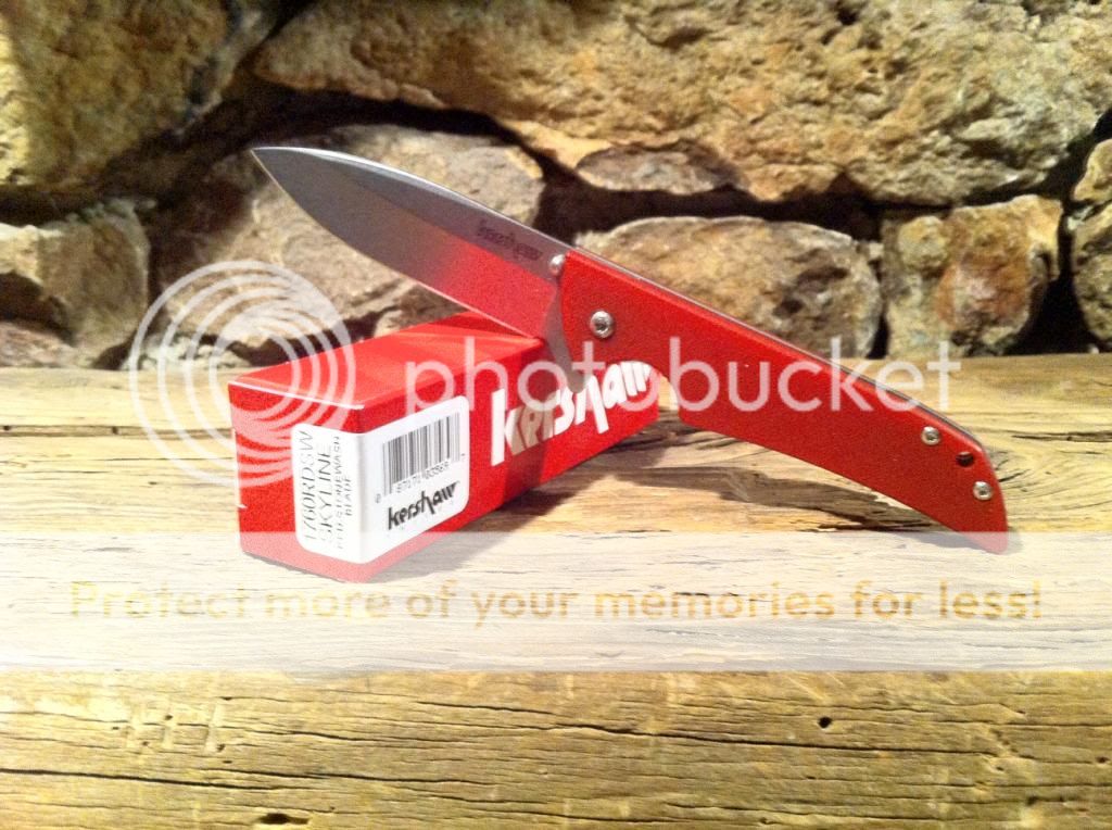 SkylineRed_zps999ff391.jpg