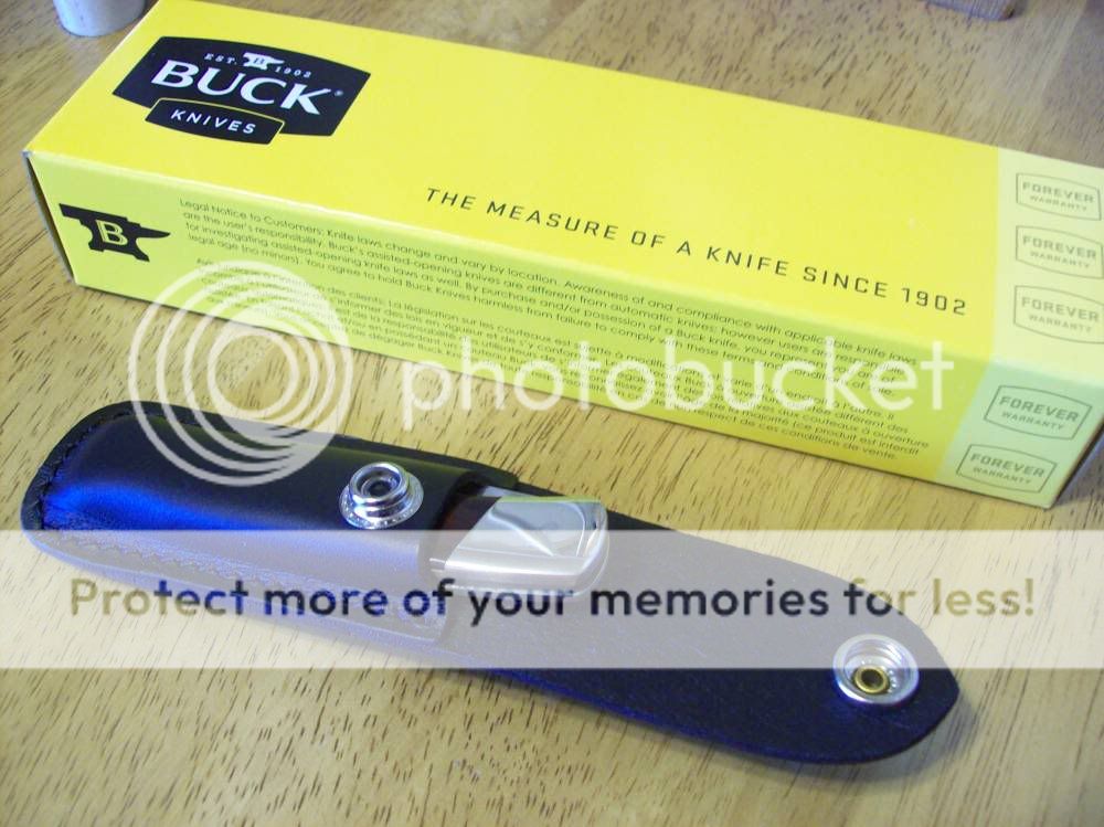 bucksquire3.jpg