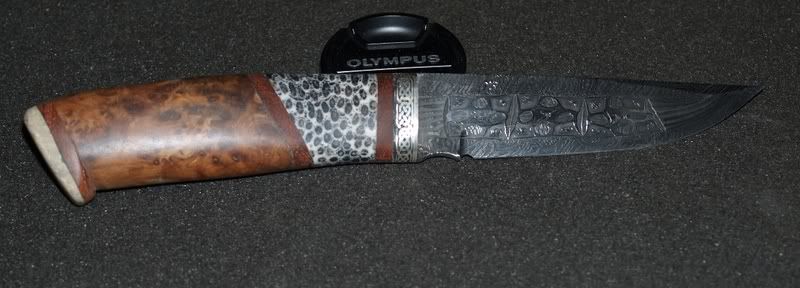 CopiadeP2151969.jpg