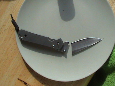 6611989.jpg