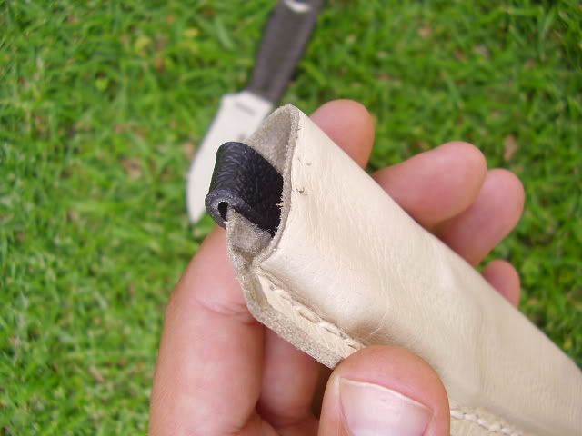 PB270026.jpg