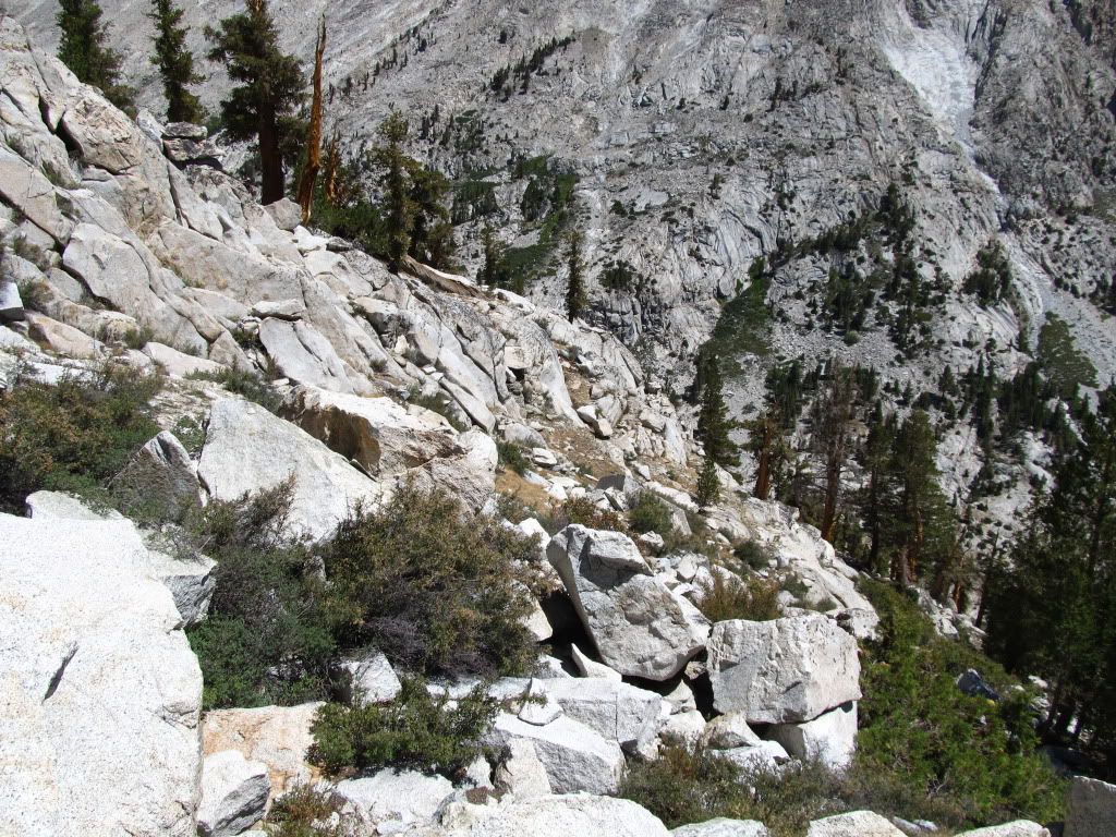 IMG_2518.jpg