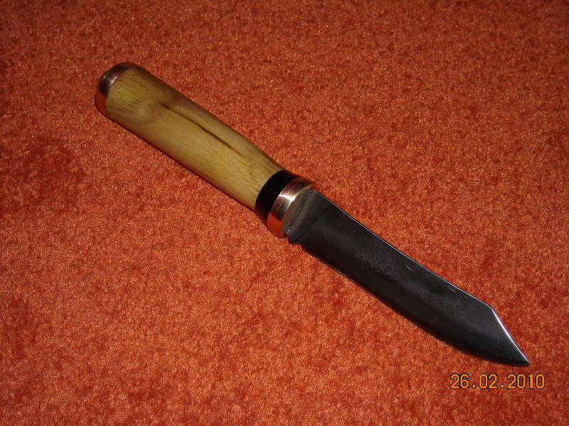 DSCN0767.JPG