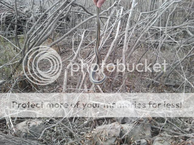 2012-03-25150204.jpg