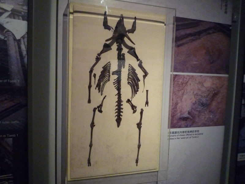P1000423.jpg