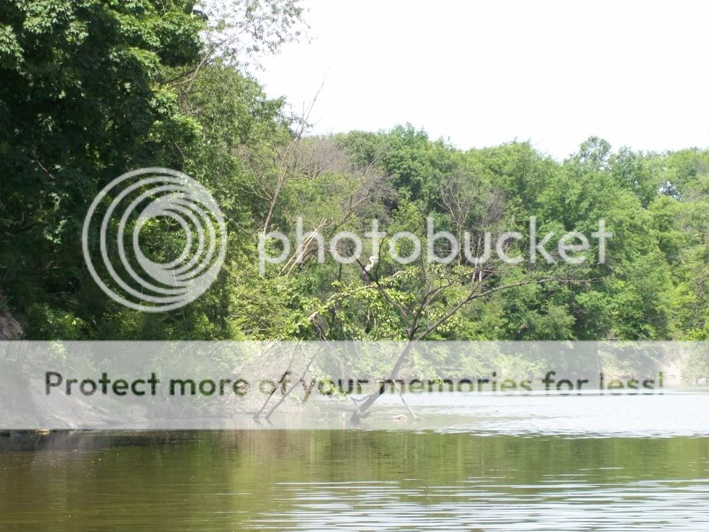 Rivertrip028.jpg