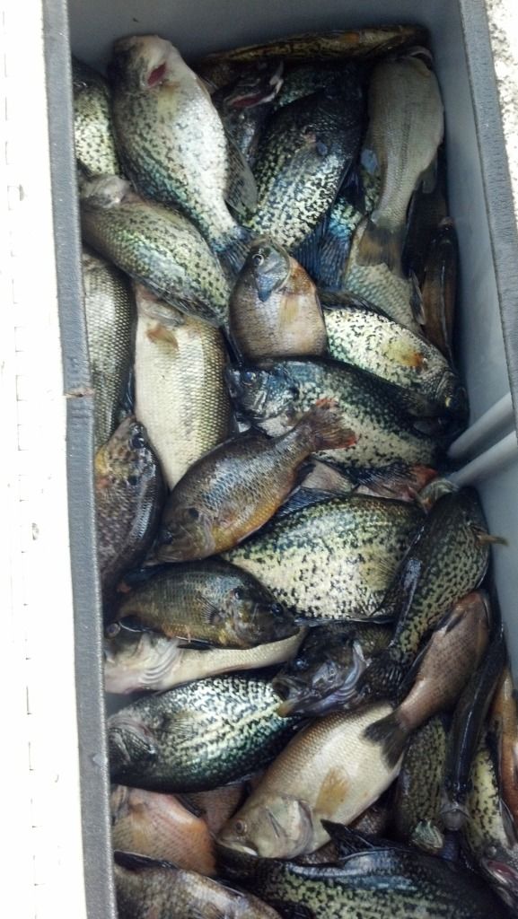 2012-03-02_16-07-36_108.jpg