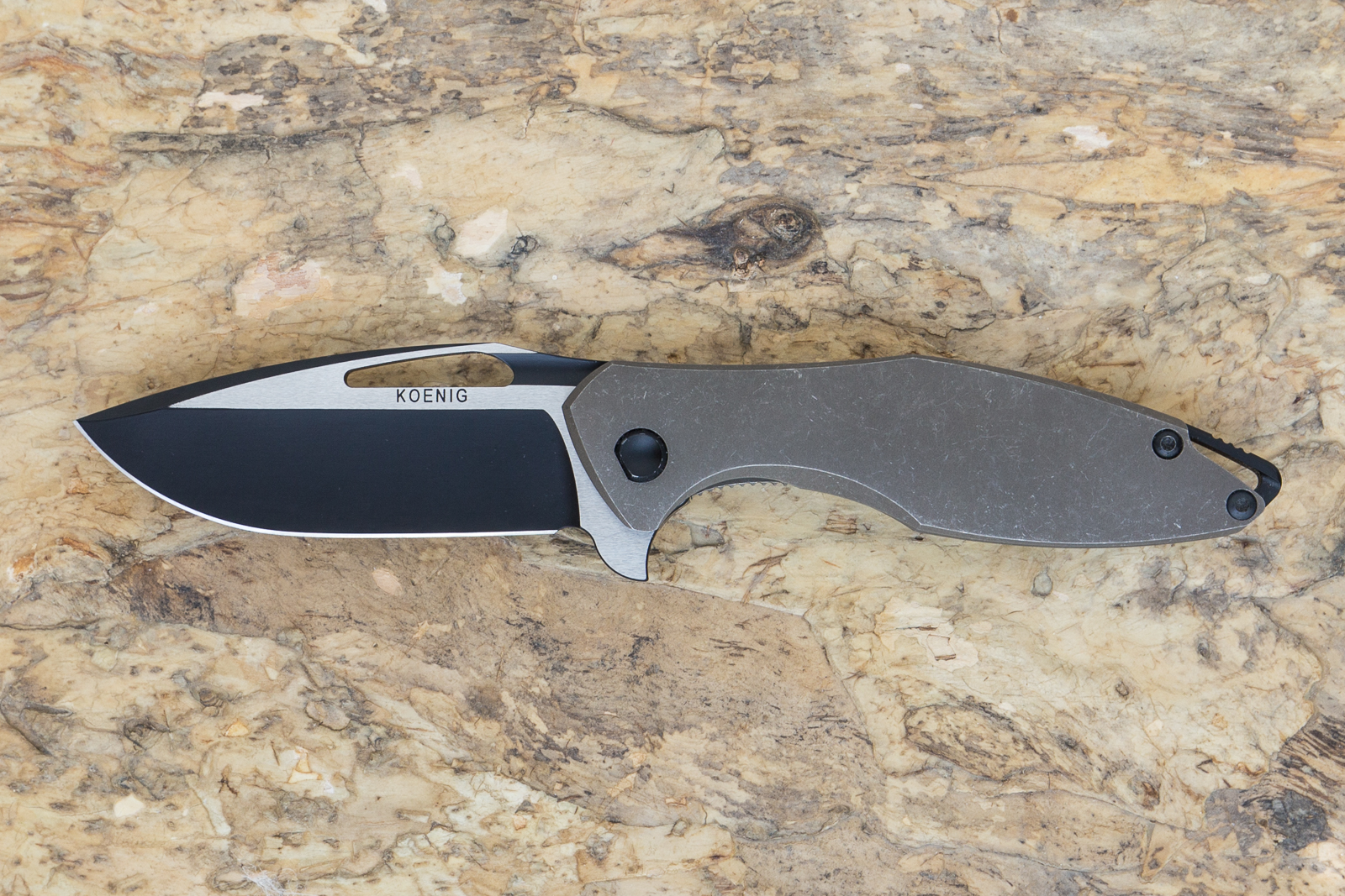 arius-6514.jpg