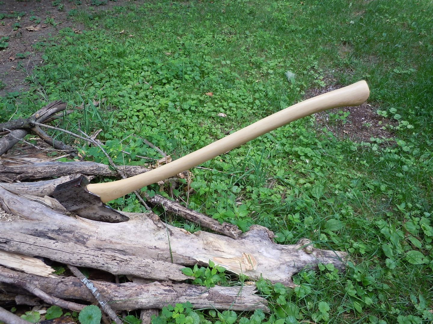 DSCN1097.jpg