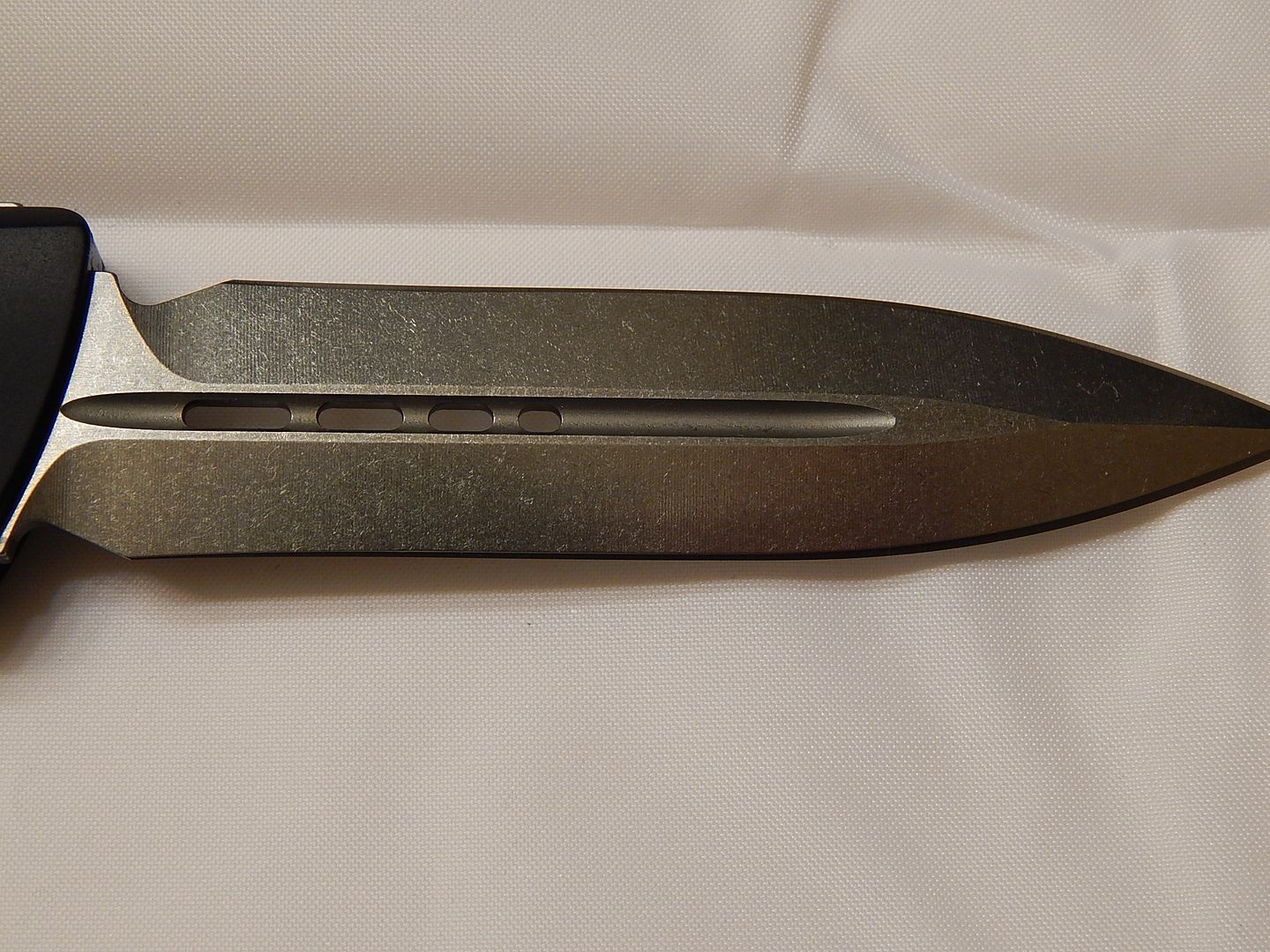 DSCN2259.jpg