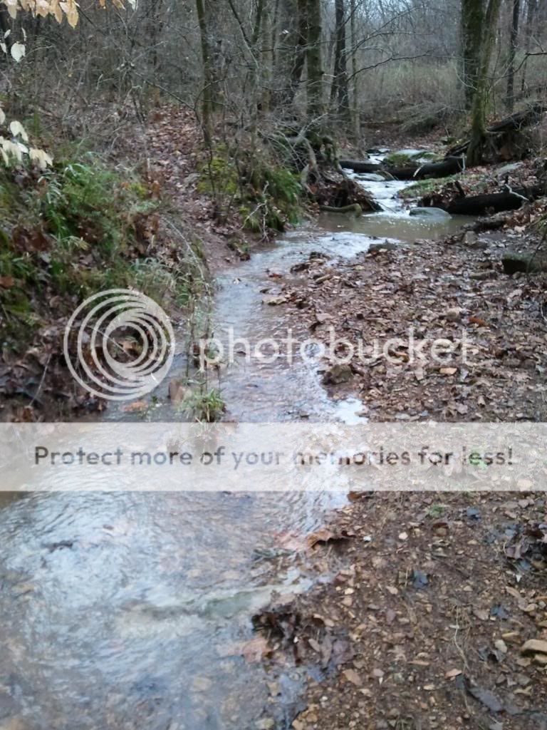 2013-01-30120024_zpsbf476f73.jpg