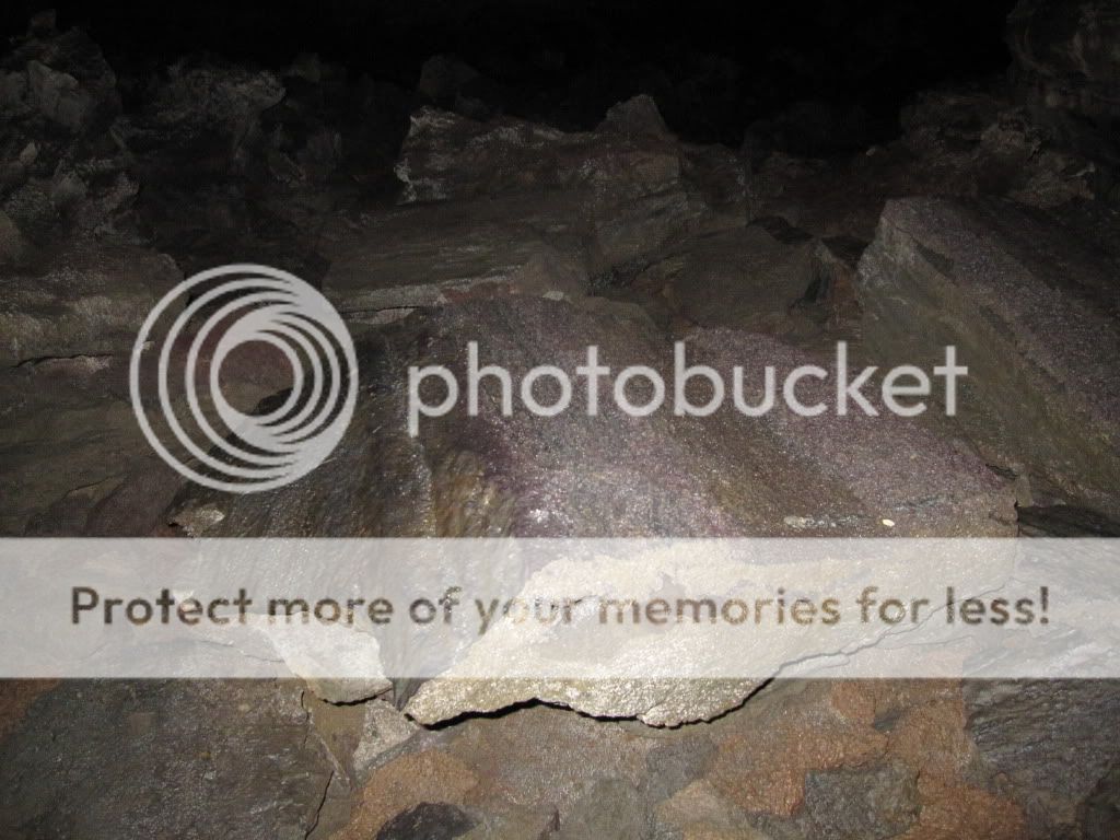 Mischief2011103.jpg