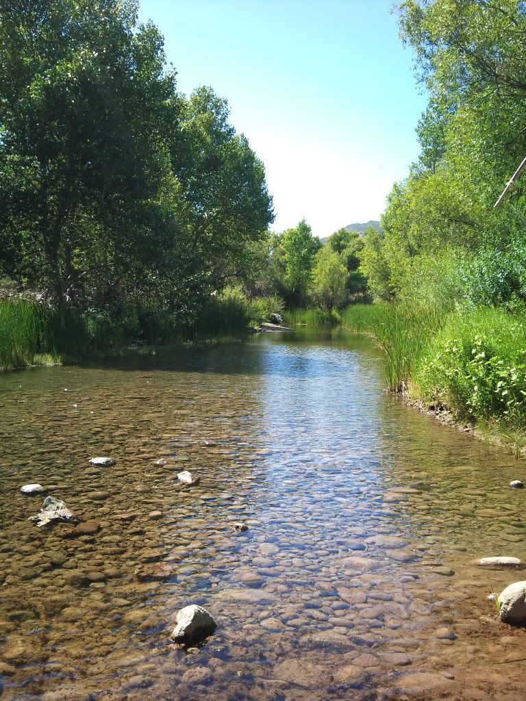 2011-08-09153525.jpg