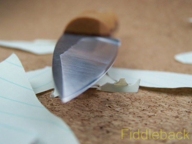 20110819102_4431-vi.jpg