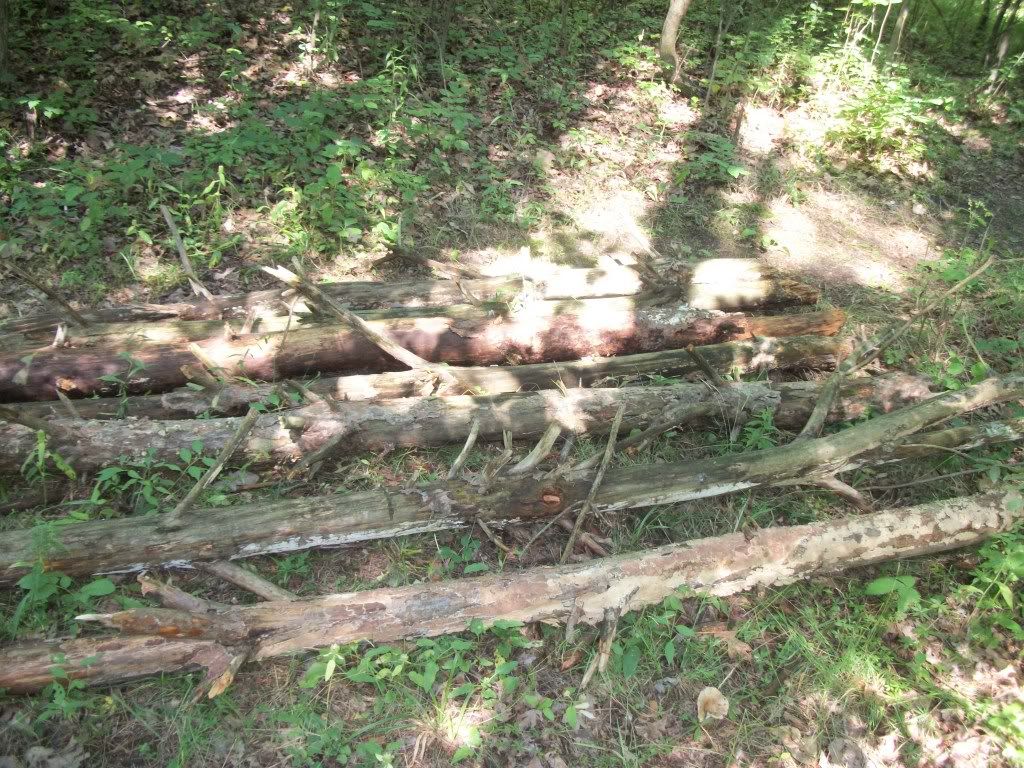 100_0428.jpg