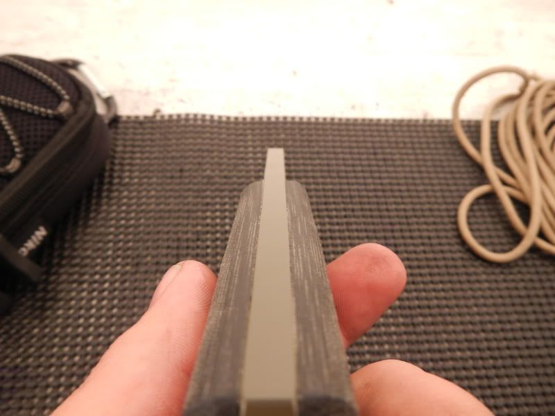 DSCN0310.jpg