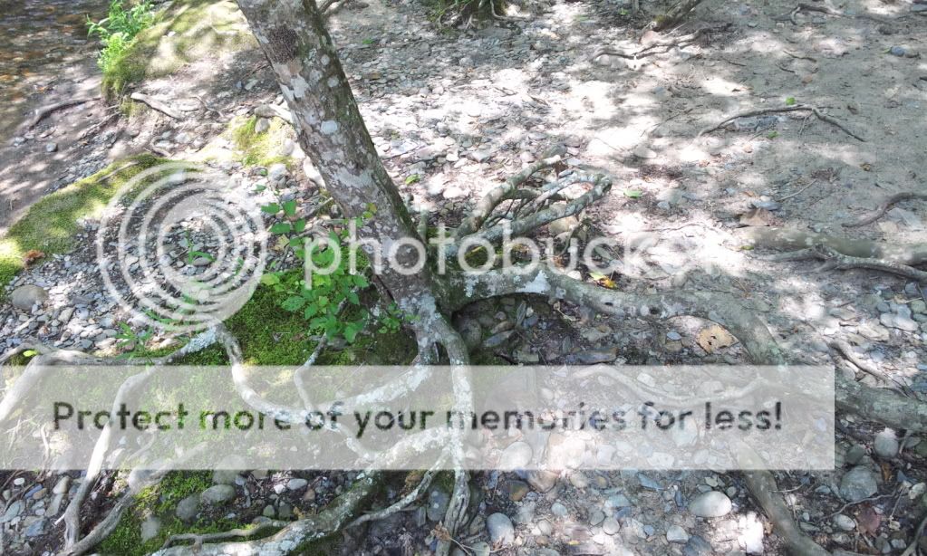 2012-05-25135336.jpg