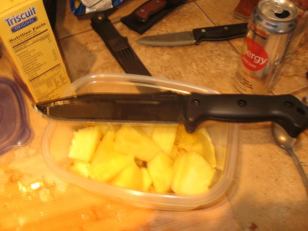 Picture040.jpg