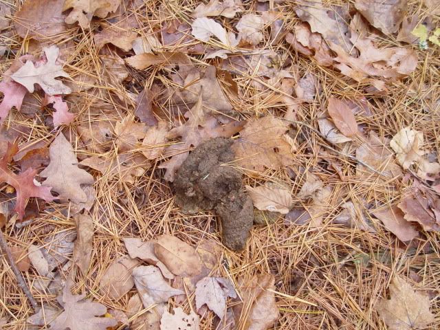 DSC03567.jpg