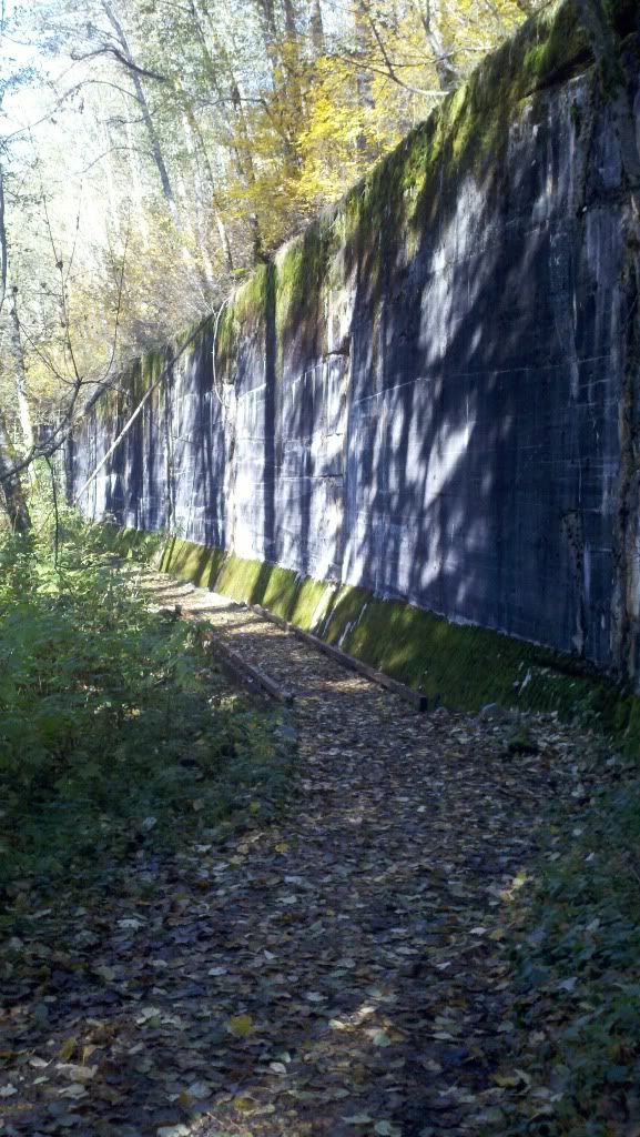 2011-11-05_11-42-10_318.jpg