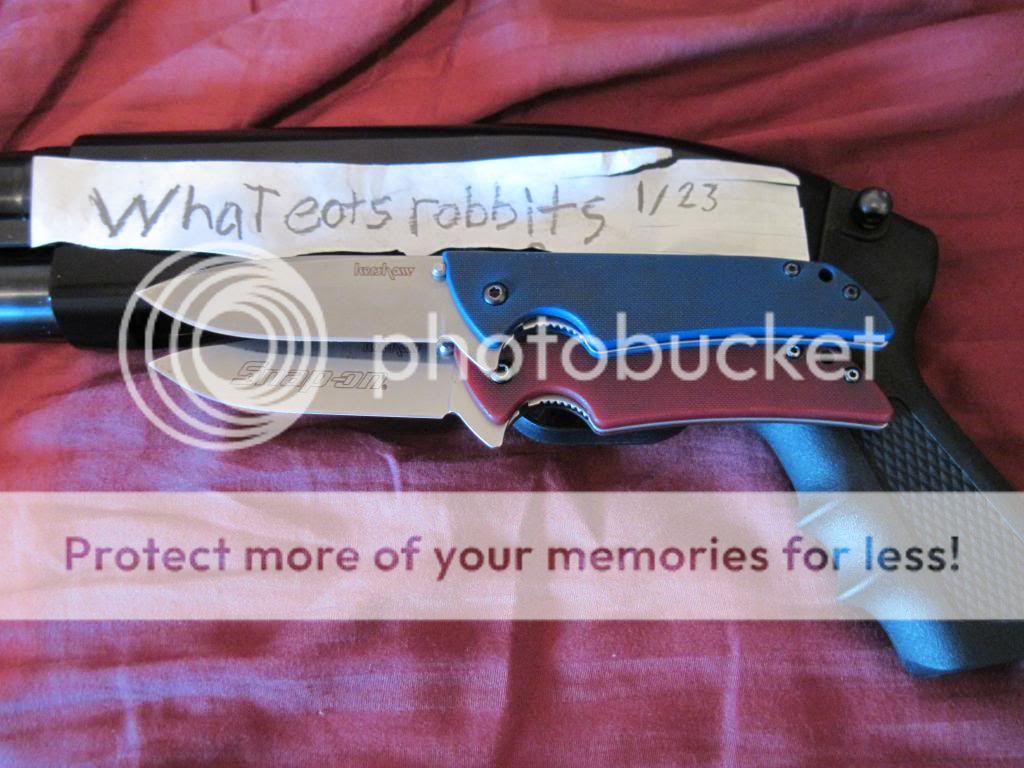 IMG_0737_zpse61660bd.jpg