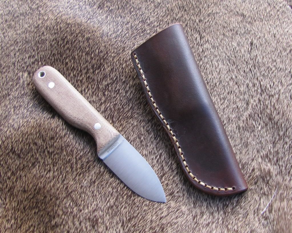psk35.jpg