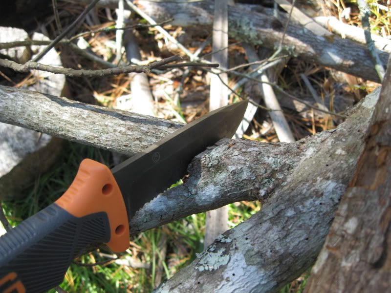 Bearknife024.jpg