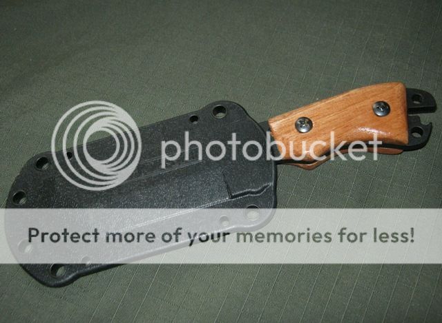 IMG_0979_zps29a917d8.jpg