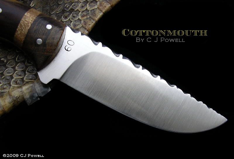 CottonmouthRightBlade.jpg
