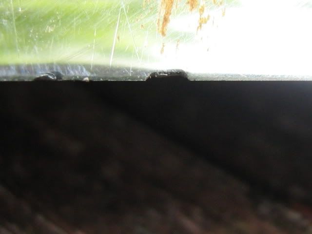 Picture1557.jpg