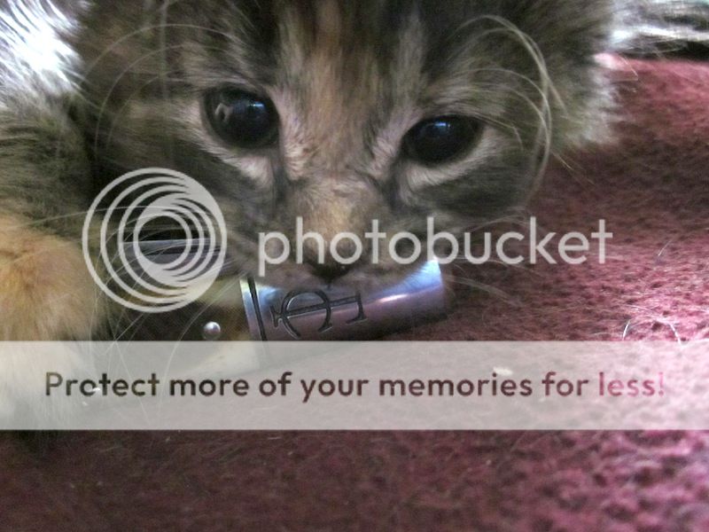 IMG_9885.jpg~original