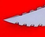 teaseone.jpg