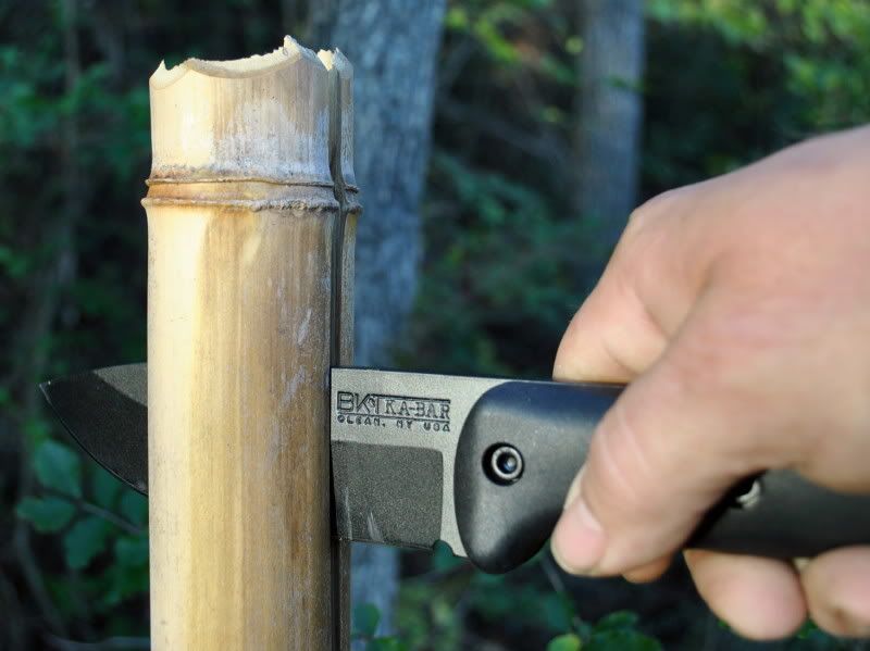 23bamboo5.jpg
