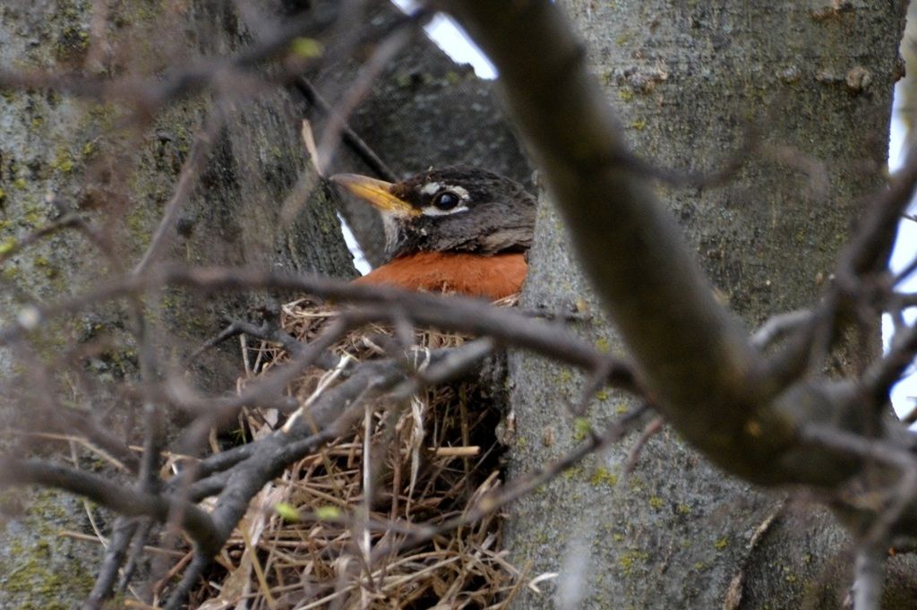 DSC_3746.jpg