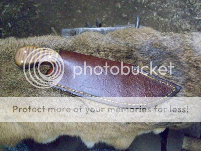 newpics001.jpg