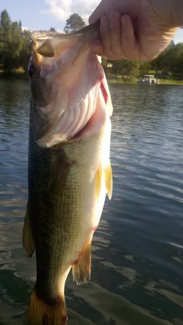 2012-08-02_17-41-04_843.jpg