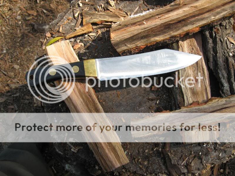 Survival061.jpg