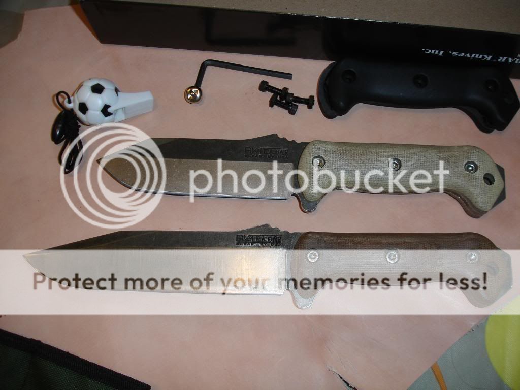 DSC08152.jpg