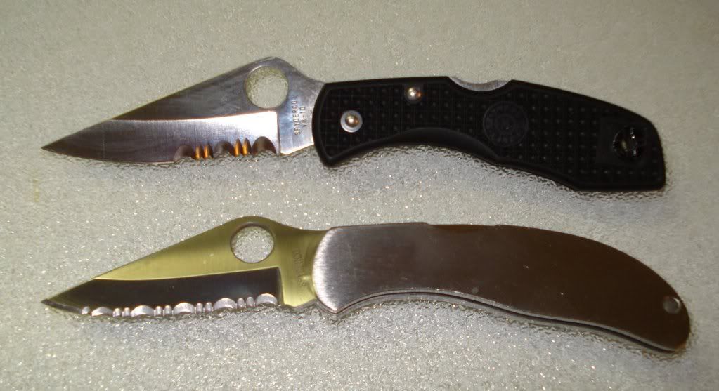 1st_spydie6.jpg