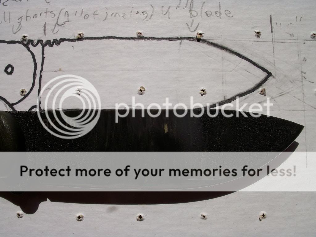 100_5183.jpg