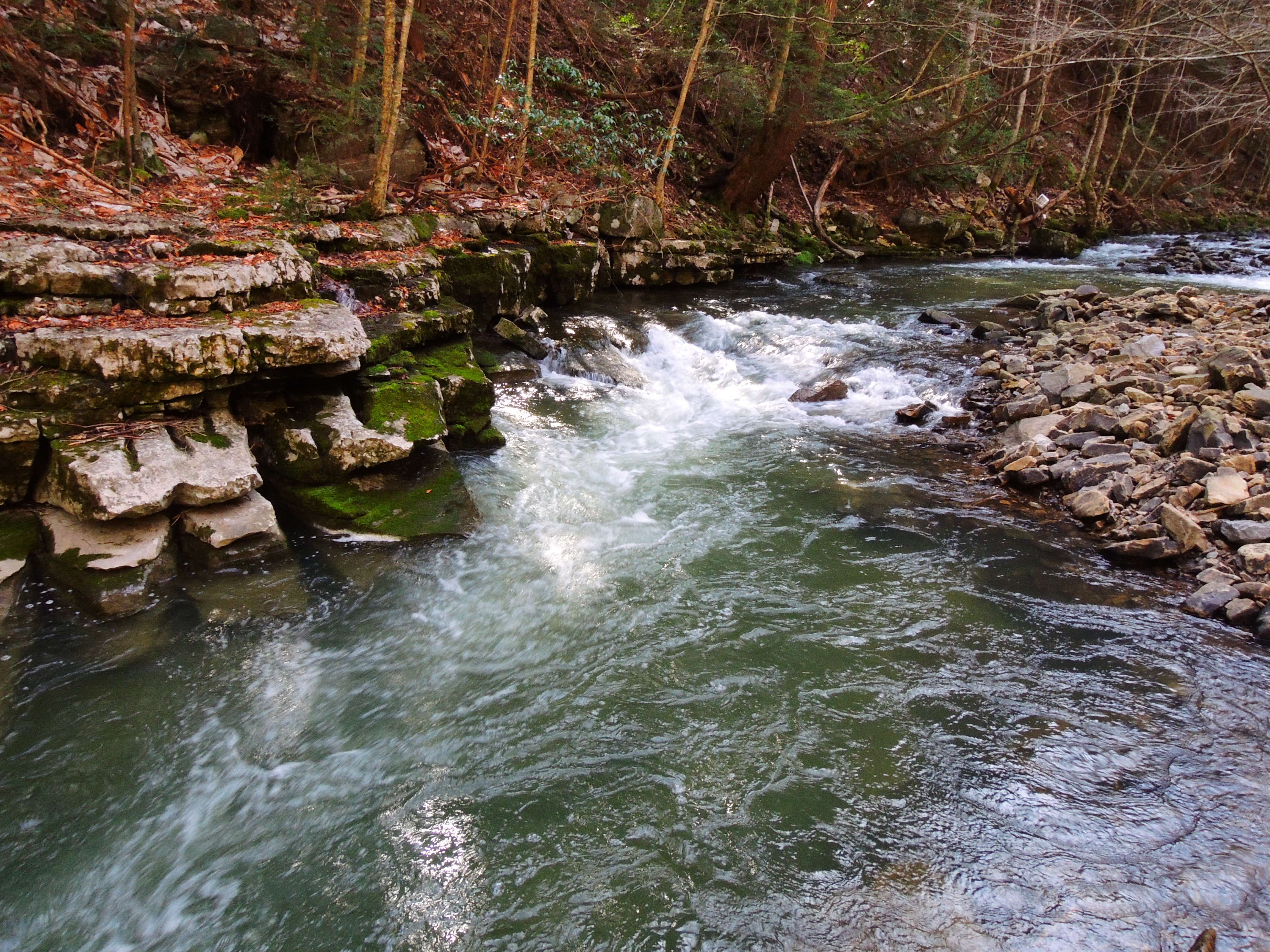 dscn9121p.jpg