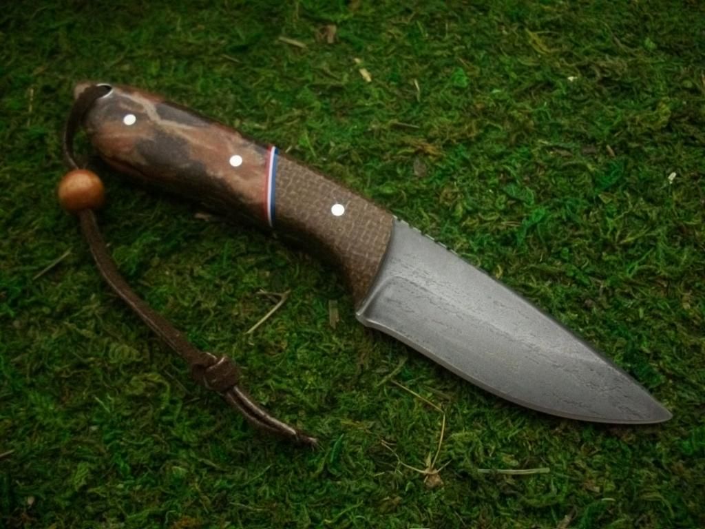 BLAP049.jpg